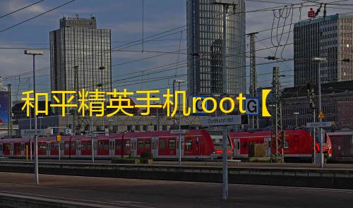 和平精英手机root【木乃伊】科技