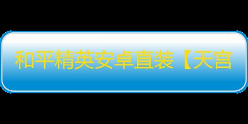 和平精英安卓直装【天宫直装】辅助