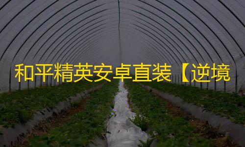 和平精英安卓直装【逆境/神眸直装】辅助
